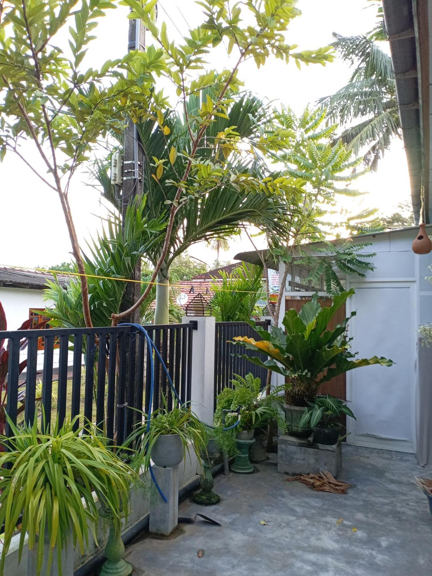 22 Homestay Negombo